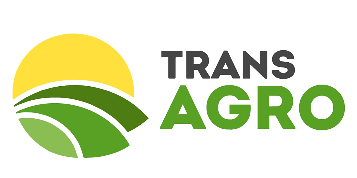 Logo Item